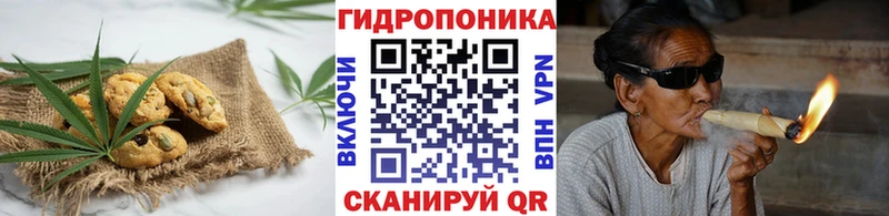дарнет шоп  блэк спрут зеркало  Печенье с ТГК конопля  Красноперекопск 