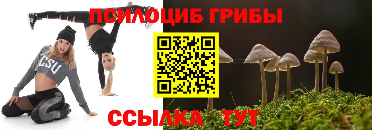 Псилоцибиновые грибы Magic Shrooms Красноперекопск